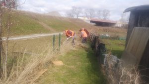 whatsapp image 2023 03 18 at 11.33.17