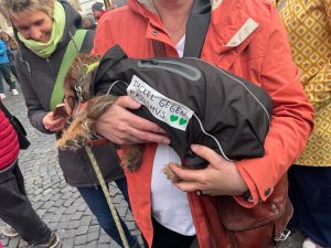 whatsapp image 2024 03 01 at 22.06.04