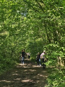 maiwanderung 2024 (13)