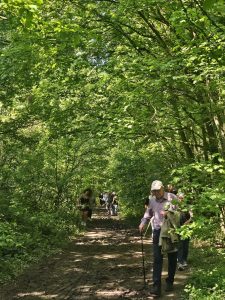 maiwanderung 2024 (5)