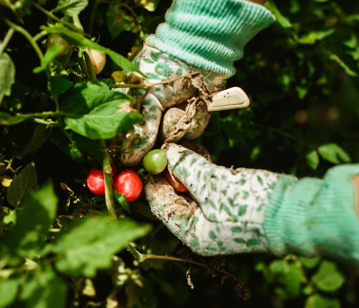 gartenarbeit