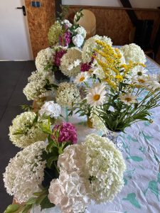 photo 2026 07 17 12 09 06