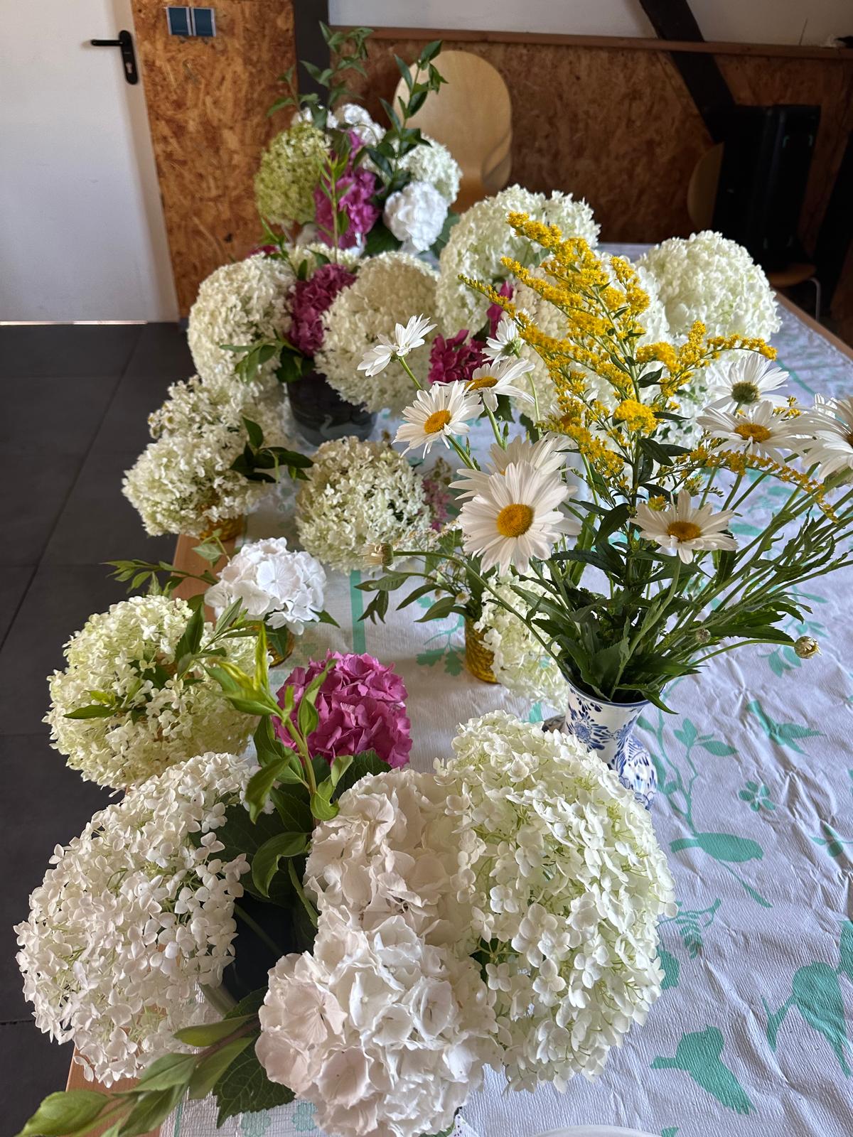 photo 2026 07 17 12 09 06